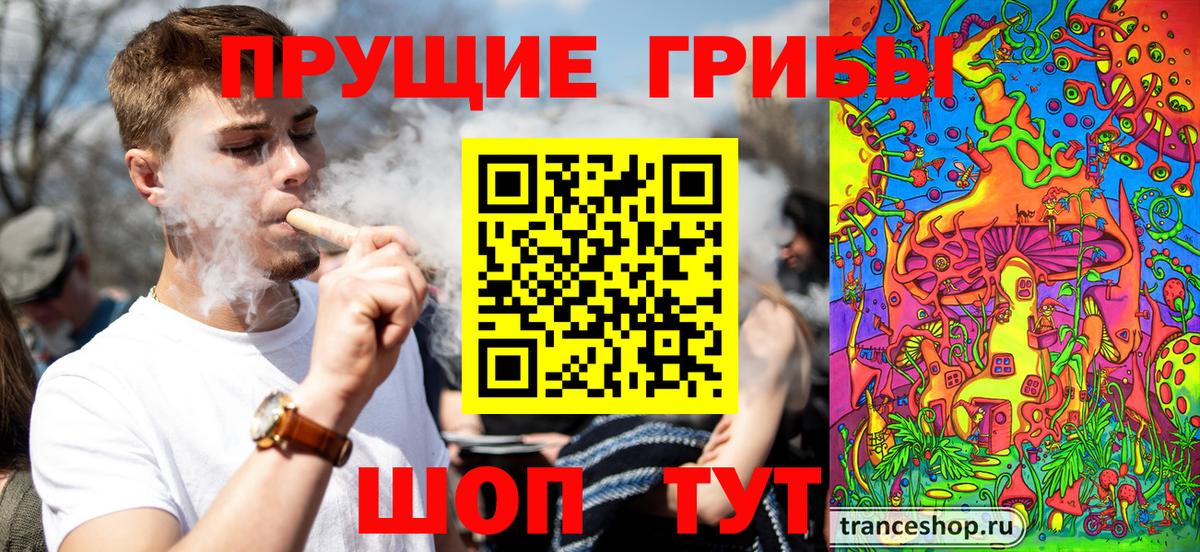 Псилоцибиновые грибы Psilocybine cubensis Баксан